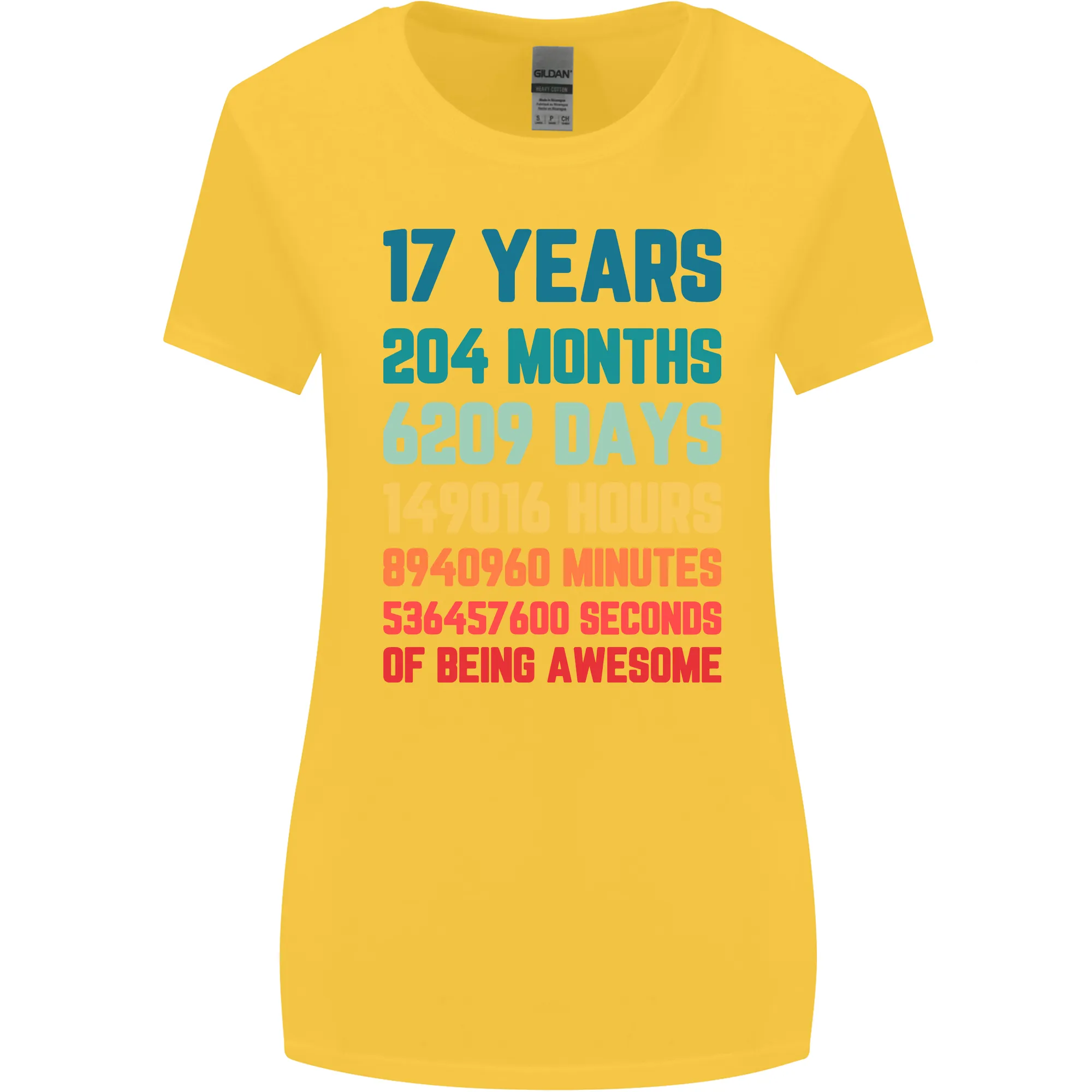 17th Birthday 17 Year Old Womens Wider Cut T-Shirt