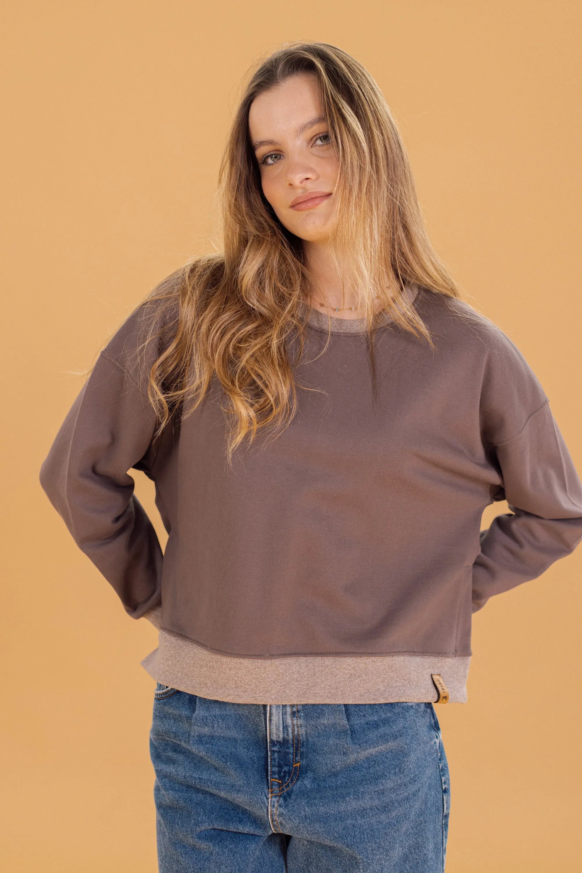 Sweater Arden Brown